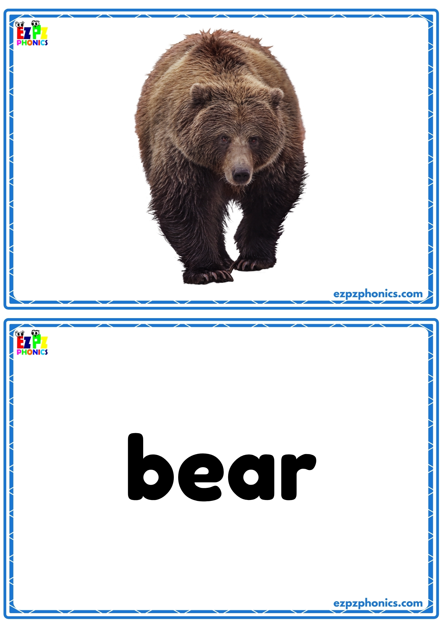 Forest Animals Flashcards View Online or Free PDF Download